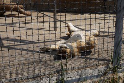 Прикрепленное изображение: A58-2 DSC00360.JPG